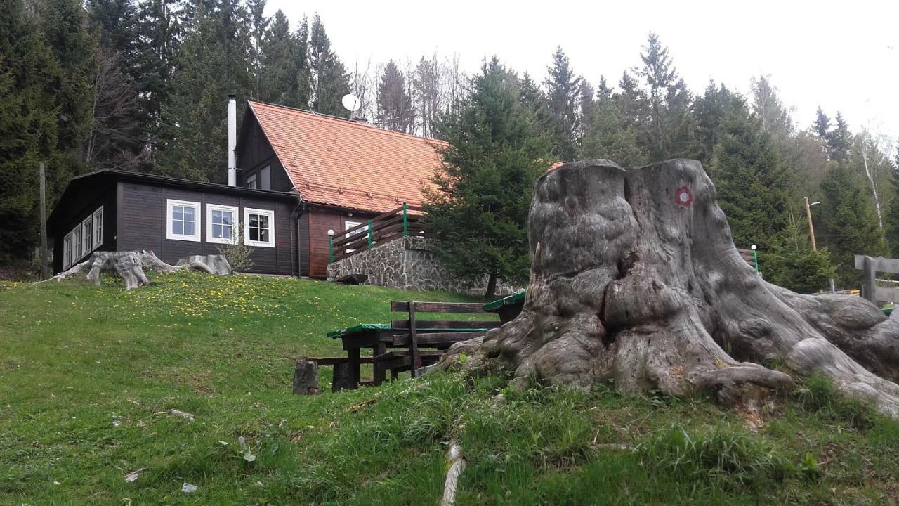 Bolfenk Apartment Hočko Pohorje Exterior foto